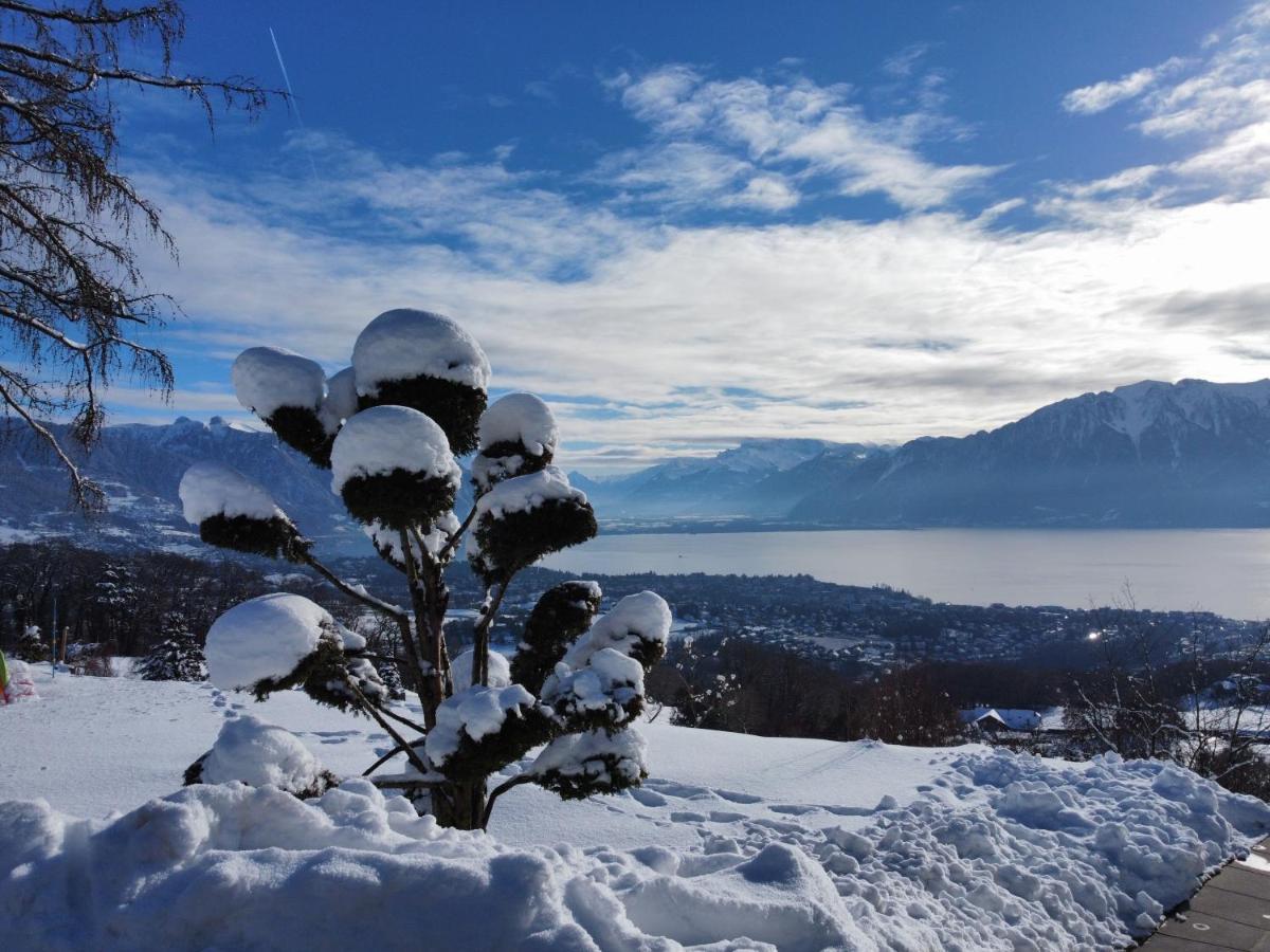 Appartement Moderne Avec Vue Panoramique A Jongny Proche De Montreux ภายนอก รูปภาพ