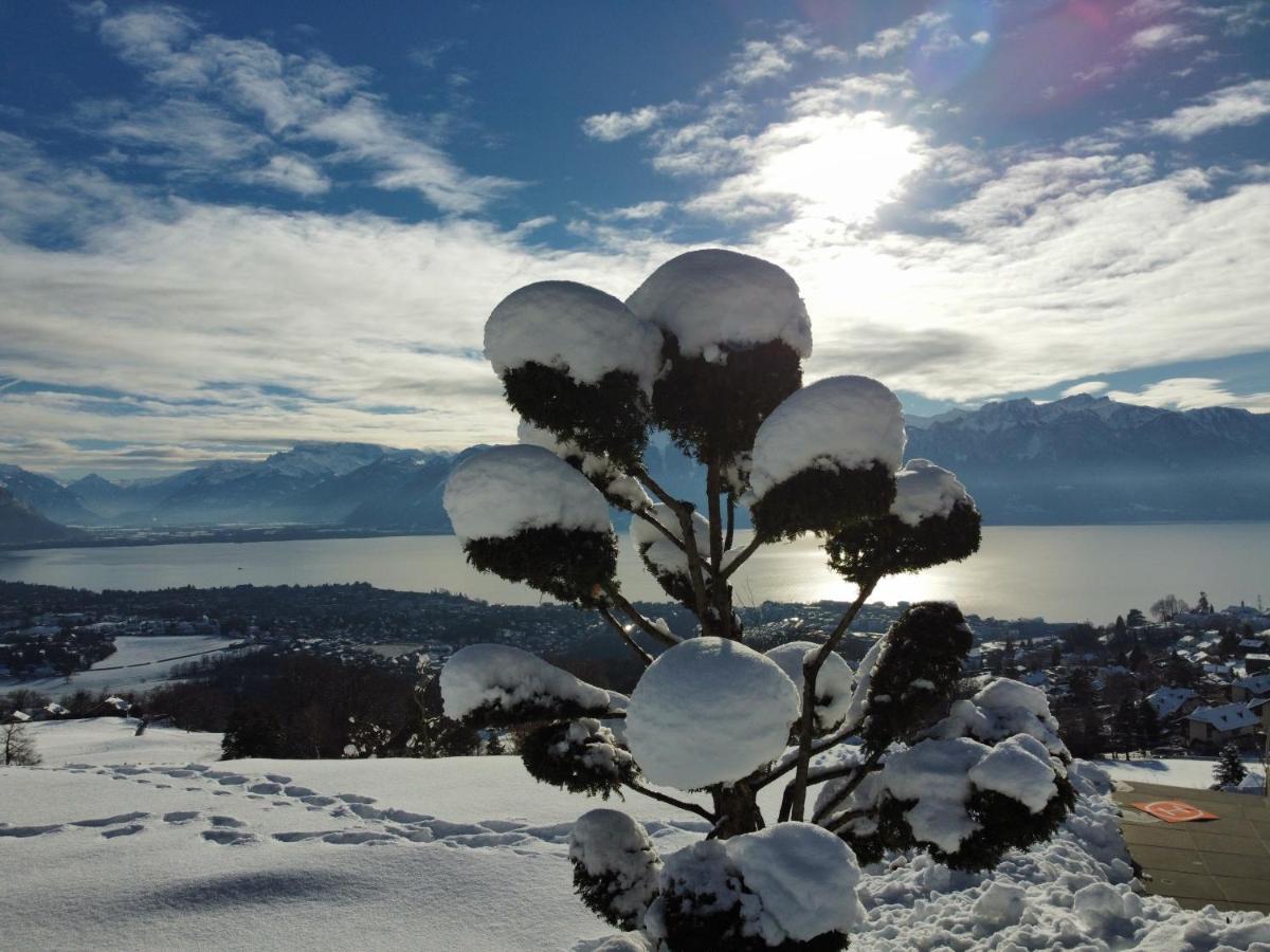 Appartement Moderne Avec Vue Panoramique A Jongny Proche De Montreux ภายนอก รูปภาพ